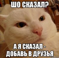 Шо сказал? А я сказал - добавь в друзья