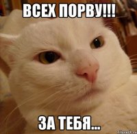 Всех порву!!! за тебя...