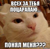 Всех за тебя поцарапаю... Понял меня???