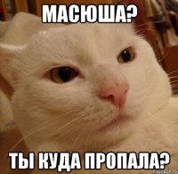 Масюша? Ты куда пропала?