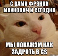 С ВАМИ ФРЭНКИ МЯУКОВИЧ И СЕГОДНЯ МЫ ПОКАЖЭМ КАК ЗАДРОТЬ В CS
