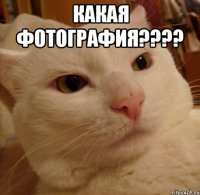 какая фотография???? 