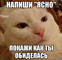 Напиши "ясно" Покажи как ты обиделась