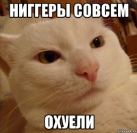 НИГГЕРЫ СОВСЕМ ОХУЕЛИ