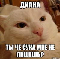 диана ты че сука мне не пишешь?