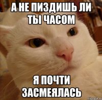А не пиздишь ли ты часом Я почти засмеялась
