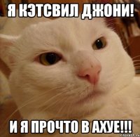 Я Кэтсвил Джони! И я прочто в АХУЕ!!!