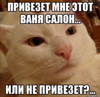 Привезет мне этот Ваня салон... Или не привезет?...