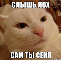 слышь лох сам ты сеня