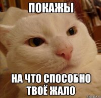 покажы на что способно твоё ЖАЛО
