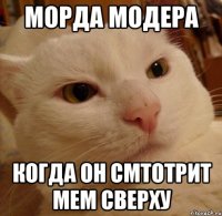 морда модера когда он смтотрит мем сверху