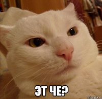  Эт че?