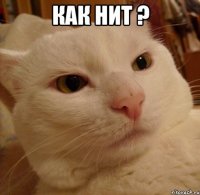 Как нит ? 