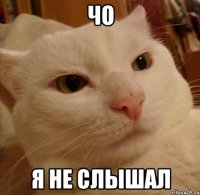 Чо я не слышал