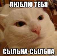 ЛЮБЛЮ ТЕБЯ СЫЛЬНА-СЫЛЬНА