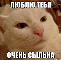 ЛЮБЛЮ ТЕБЯ ОЧЕНЬ СЫЛЬНА