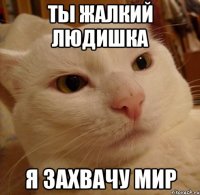 Ты жалкий людишка Я захвачу мир