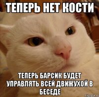 Теперь нет Кости Теперь Барсик будет управлять всей движухой в беседе