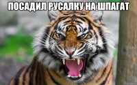 Посадил русалку на шпагат 