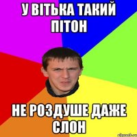 У ВІТЬКА ТАКИЙ ПІТОН НЕ РОЗДУШЕ ДАЖЕ СЛОН