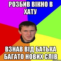РОЗБИВ ВІКНО В ХАТУ ВЗНАВ ВІД БАТЬКА БАГАТО НОВИХ СЛІВ
