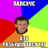 ПАЛЄХЧЄ А ТО РОЗБУШУВАВСЯ ТУТ