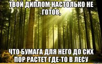 ТВОЙ ДИПЛОМ НАСТОЛЬКО НЕ ГОТОВ, ЧТО БУМАГА ДЛЯ НЕГО ДО СИХ ПОР РАСТЕТ ГДЕ-ТО В ЛЕСУ