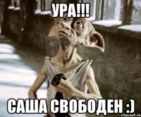 Ура!!! Саша свободен :)