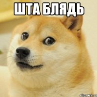 ШТА БЛЯДЬ 