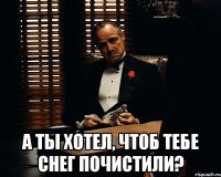  А ты хотел, чтоб тебе снег почистили?