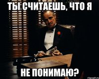 ты считаешь, что я не понимаю?