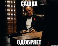 сашка одобряет