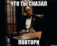 Что ты сказал Повтори