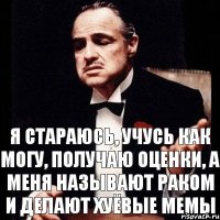 я стараюсь, учусь как могу, получаю оценки, а меня называют раком и делают хуёвые мемы