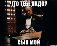 Что тебе надо? Сын мой