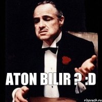 Aton bilir ? :D