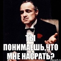 ты понимаешь,что мне насрать?