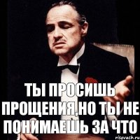 Ты просишь прощения,но ты не понимаешь за что