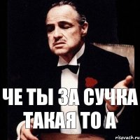 ЧЕ ТЫ ЗА СУЧКА ТАКАЯ ТО А