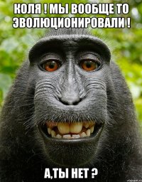 Коля ! Мы вообще то эволюционировали ! А,ты нет ?