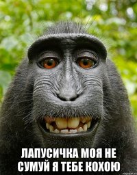  лапусичка моя не сумуй я тебе кохою