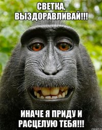 Светка, выздоравливай!!! Иначе я приду и расцелую тебя!!!