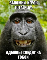 Запомни, игрок TotalPlay, админы следят за Тобой.