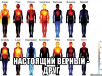  настоящий верный - друг