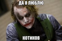 да я люблю котиков