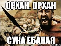 ОРХАН, ОРХАН СУКА ЕБАНАЯ