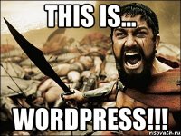 This is... WORDPRESS!!!