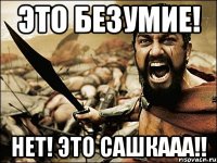 Это безумие! НЕТ! ЭТО САШКААА!!