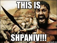 THIS IS SHPANIV!!!