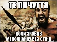 те почуття коли зробив мексиканку без стіни